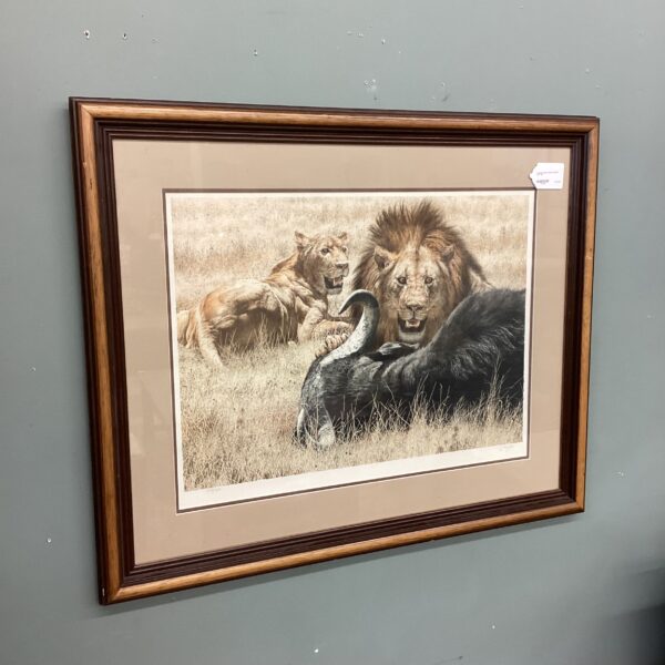 framed lions & water buffalo print